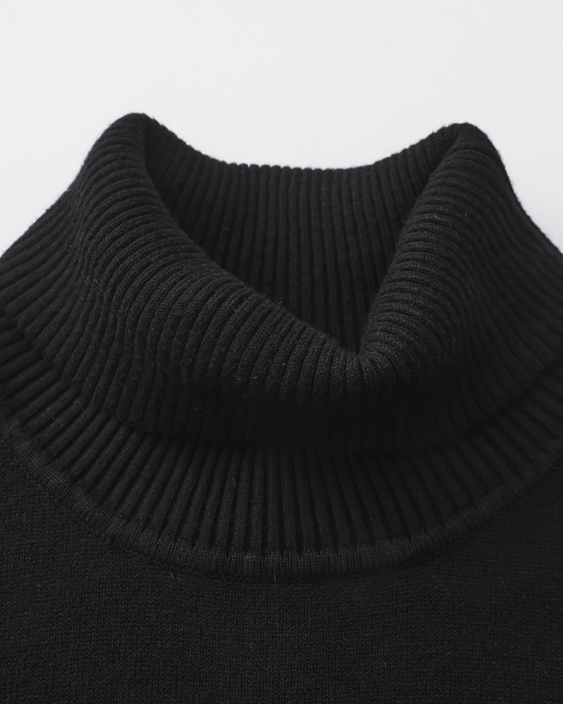 Gstaad Fall Turtleneck — Avelmontis