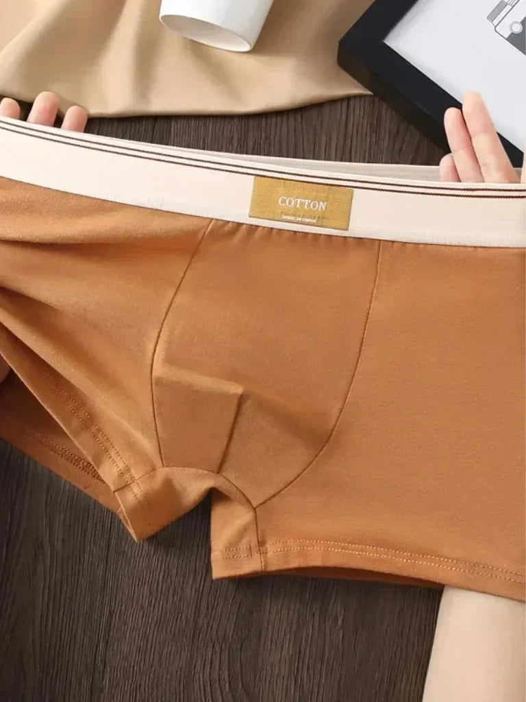 product_31432213332157.webp